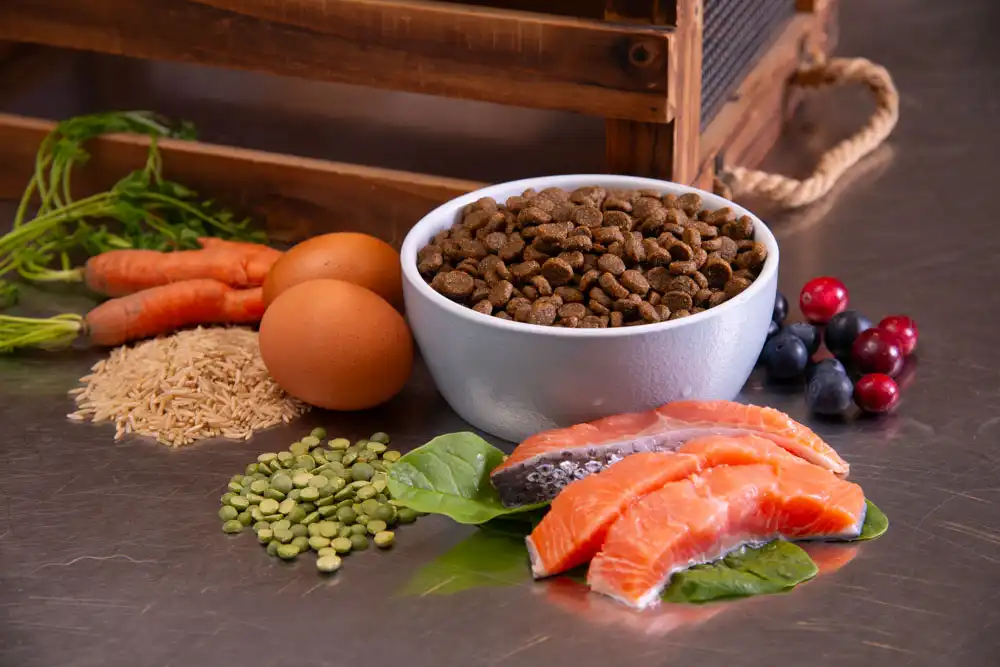 Pet Wants Salmon & Rice Dog Food (per lb)