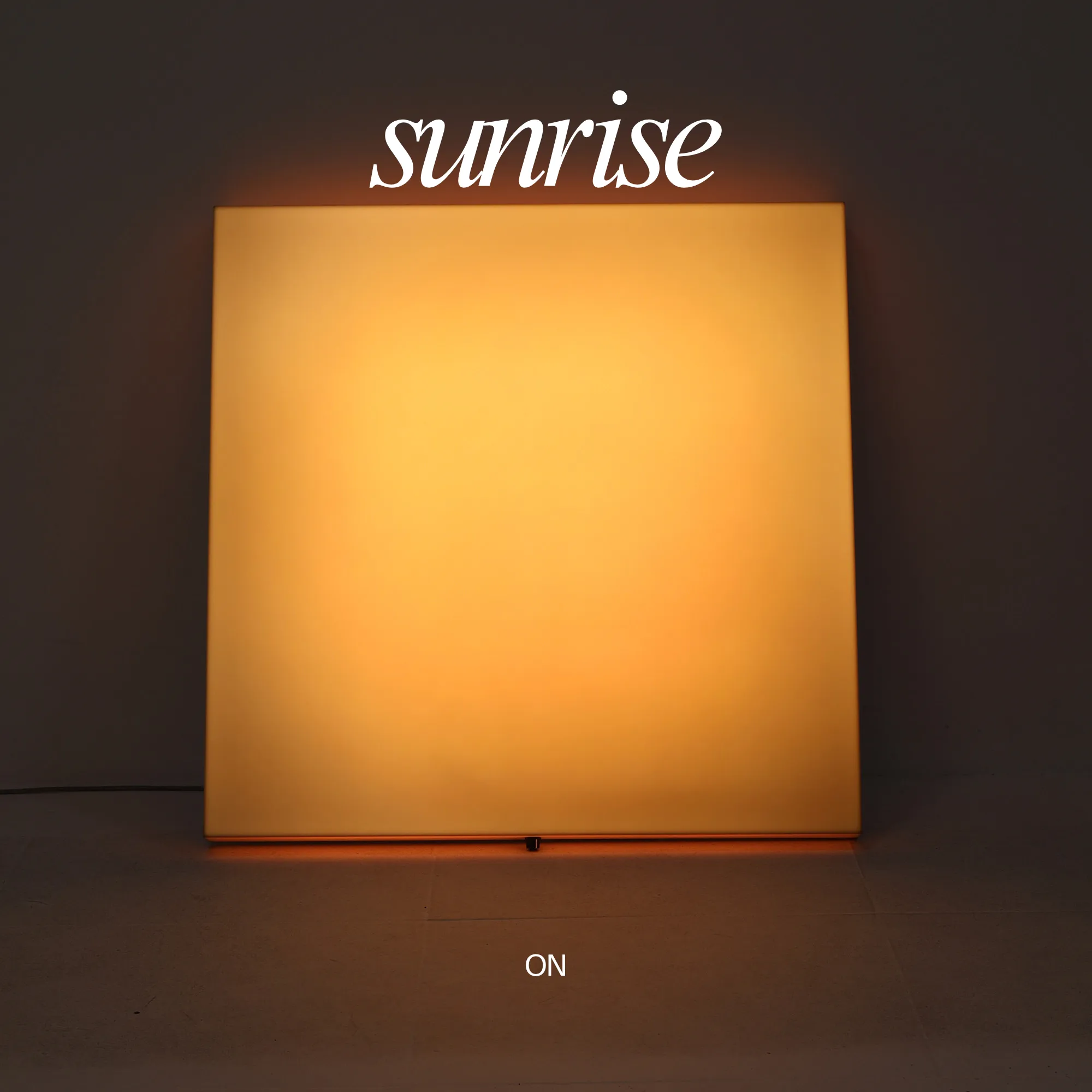 The Sol Study