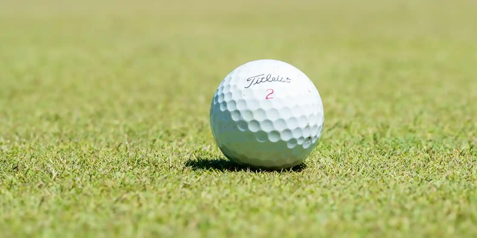 Topped It Golf